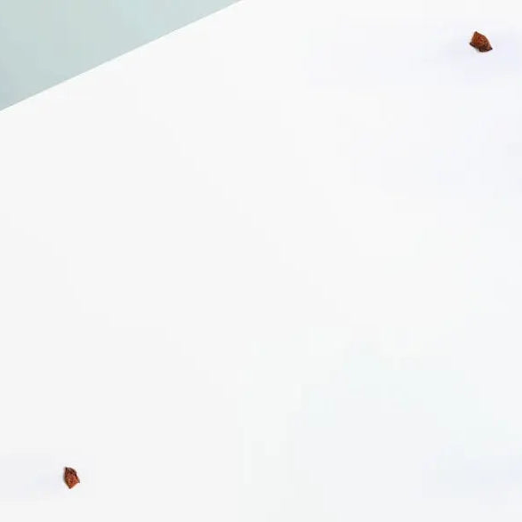 Top-5-Fall-Recipes-Perfect-for-Disposable-Foil-Pans KitchenDance