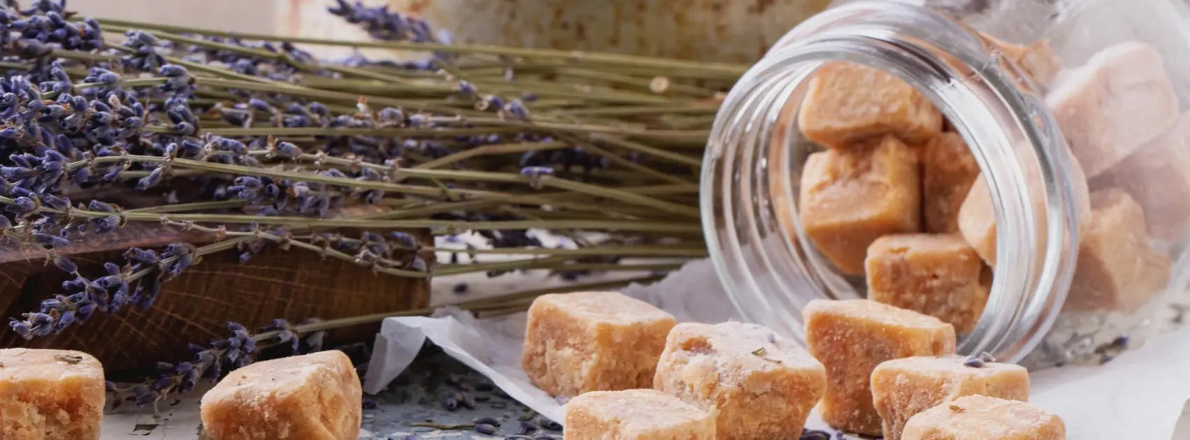 Ways-to-Cook-with-Lavender-This-August-Without-Overpowering-Your-Dish KitchenDance