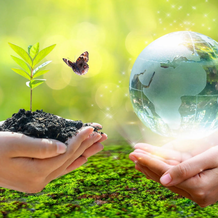 Earth-Day-Spotlight-How-KitchenDance-s-Green-Initiatives-Support-a-Better-Planet-and-Your-Business KitchenDance