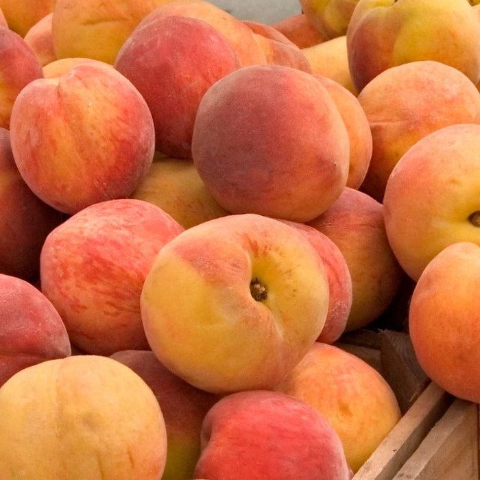 8 Fresh Recipes to Make While Peaches Are in Season