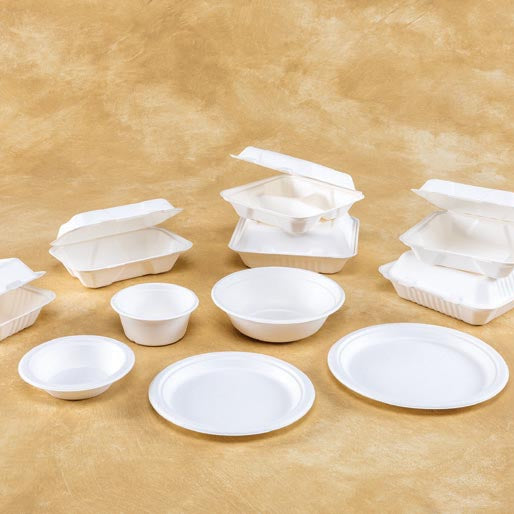 A Beginner’s Guide to Compostable Disposables: What You Need to Know