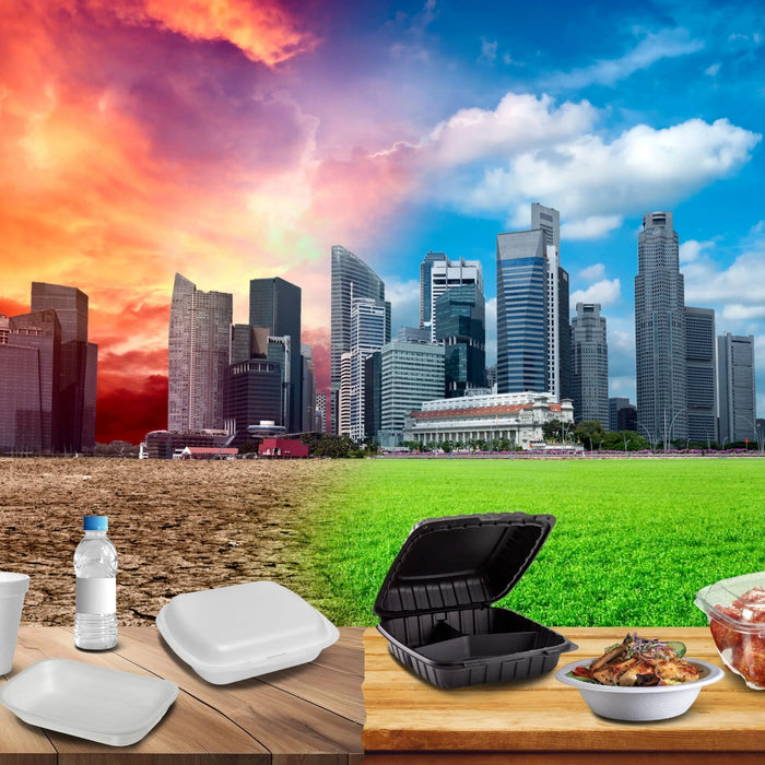 biodegradable containers for food environmentally friendly containers take out containers eco friendly compostable to go boxes compostable lunch boxes