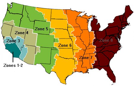 Shipping Guidelines and cutoff times. Everything you need to know about getting your package when you need it.