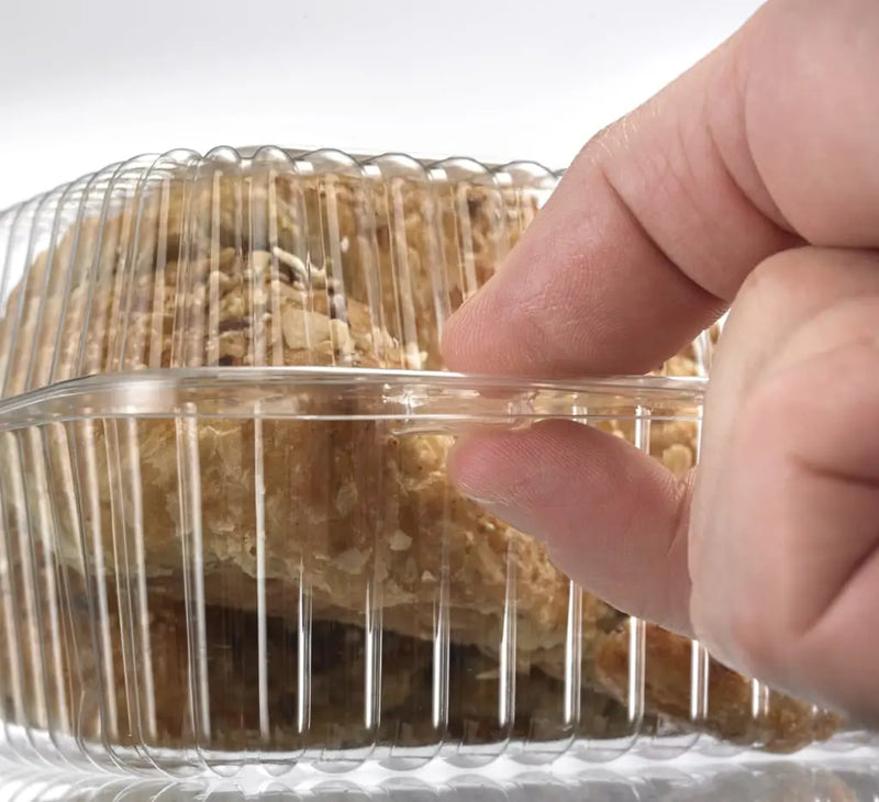12 Compartment Plastic Mini Cupcake/Muffin Container - #SLP34 Inline Plastics
