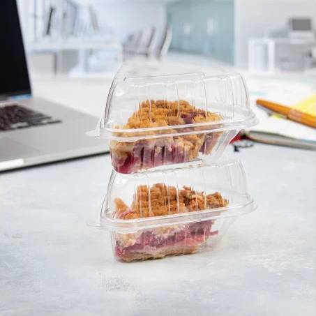 Standard Plastic Hinged Pie Slice Container - #CPC-9019