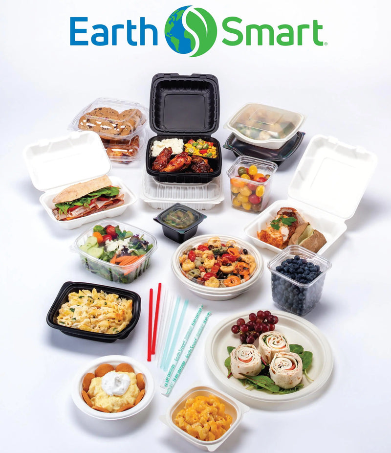 9 x 6 x 3 MFPP 1 Compartment Hinged Take Out Containers D&W Fine Pack