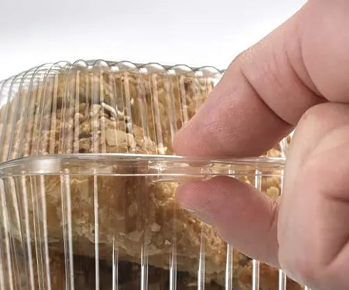 Inline Plastics 21 oz. Rectangular Clear Clamshell Container with Barlock - #SLP17D Inline Plastics