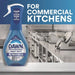 Dawn Professional 16 oz. Heavy Duty Power Wash Dish Spray - #12301 Dawn Professional
