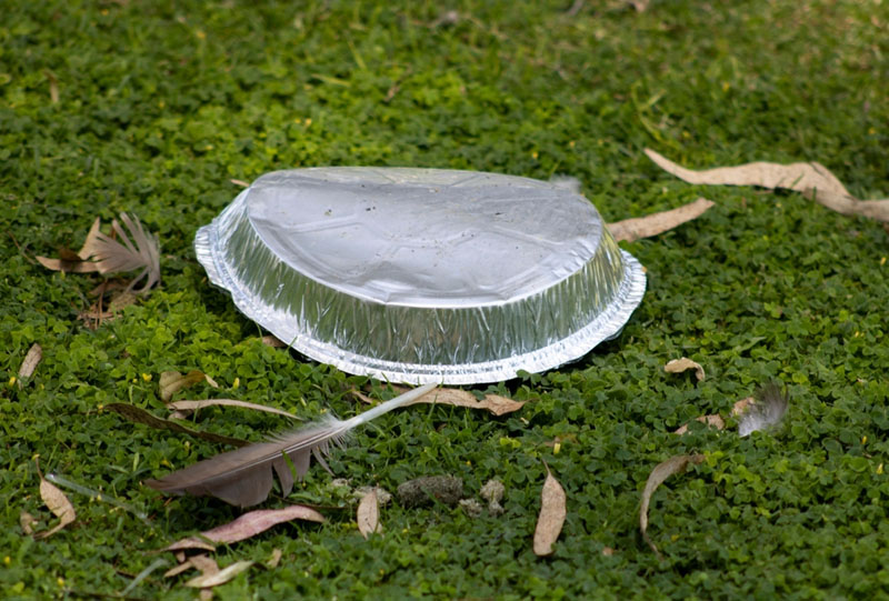 How to Reuse and Recycle Aluminum Foil Pans for Maximum Efficiency